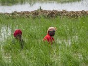 Les progrès du développement au Bénin avec le soutien de la Banque africaine de développement (BAD) (2020–2025)