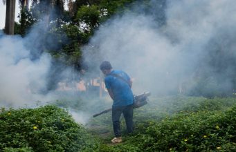 New Illness Spreading In China: What To Know About The Chikungunya Virus