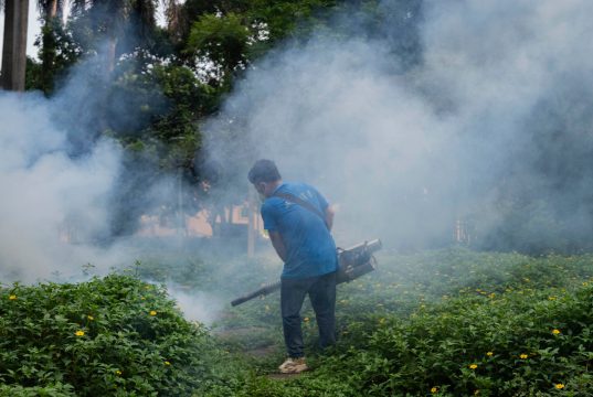 New Illness Spreading In China: What To Know About The Chikungunya Virus
