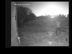 Meteorite Illuminates Botswana and South Africa Sky in Rare Event on August 3, 2025